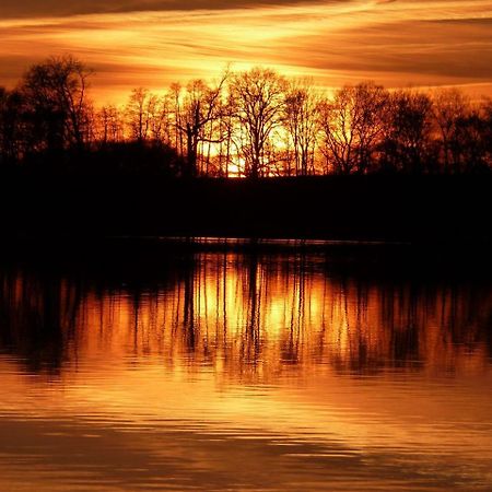 Ferienwohnung Am Duemmer See Dummer エクステリア 写真