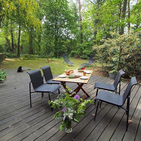 Ferienwohnung Am Duemmer See Dummer エクステリア 写真