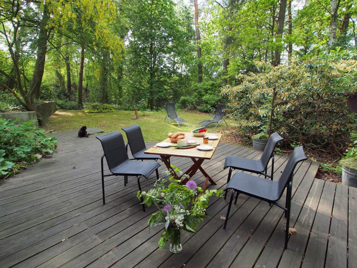 Ferienwohnung Am Duemmer See Dummer エクステリア 写真