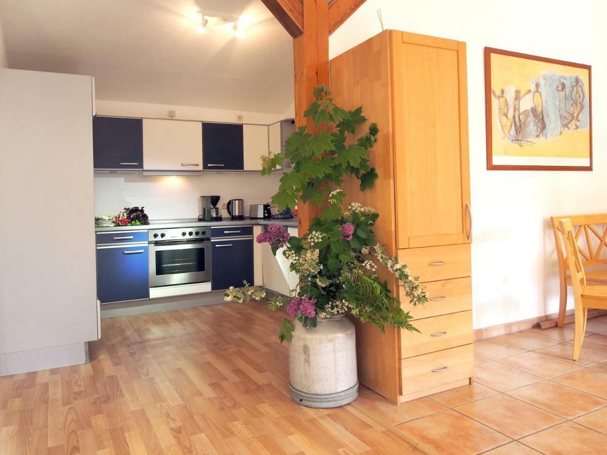 Ferienwohnung Am Duemmer See Dummer エクステリア 写真