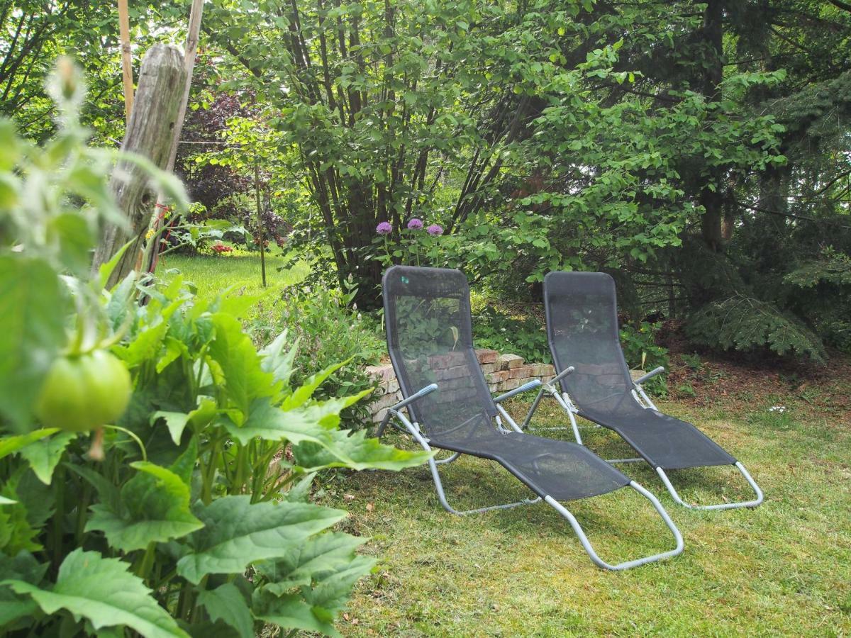 Ferienwohnung Am Duemmer See Dummer エクステリア 写真