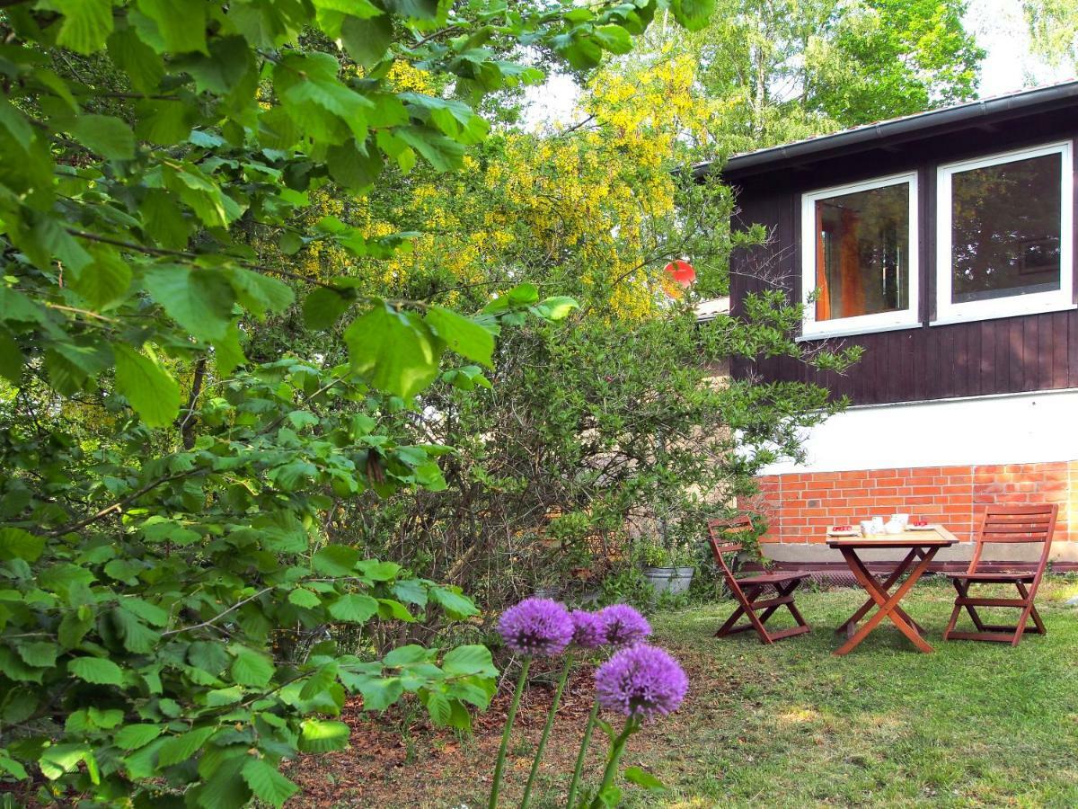 Ferienwohnung Am Duemmer See Dummer エクステリア 写真