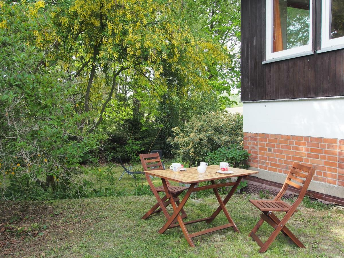 Ferienwohnung Am Duemmer See Dummer エクステリア 写真